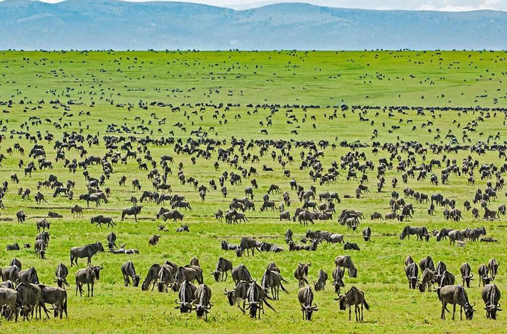 Serengeti National Park