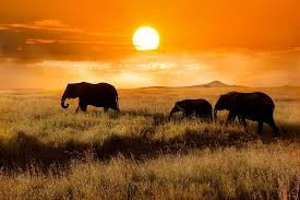 Lake Manyara National Park