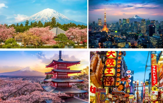 Japan Cultural Experience: Tradition and Modern Wonders