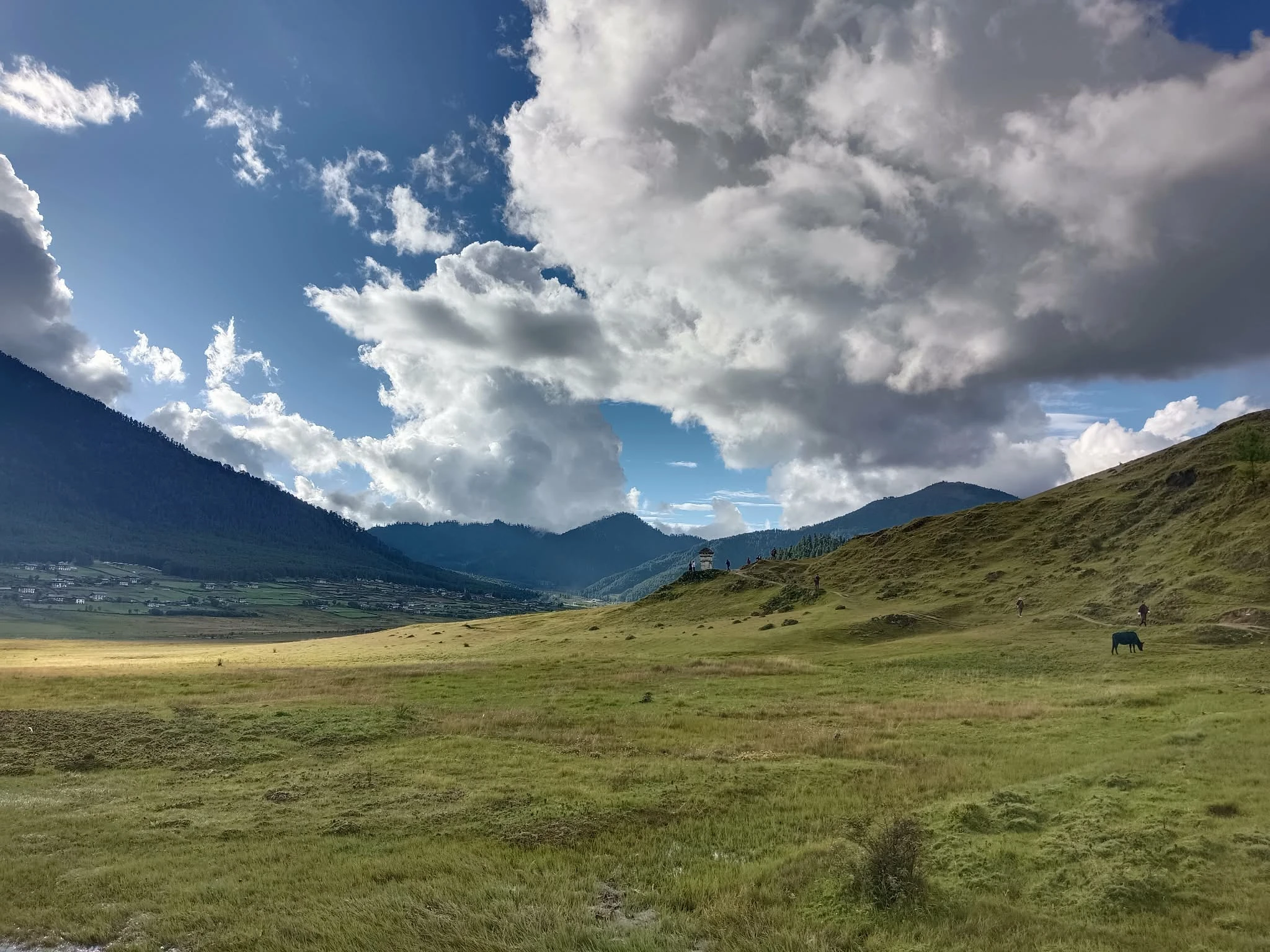 phobjikha