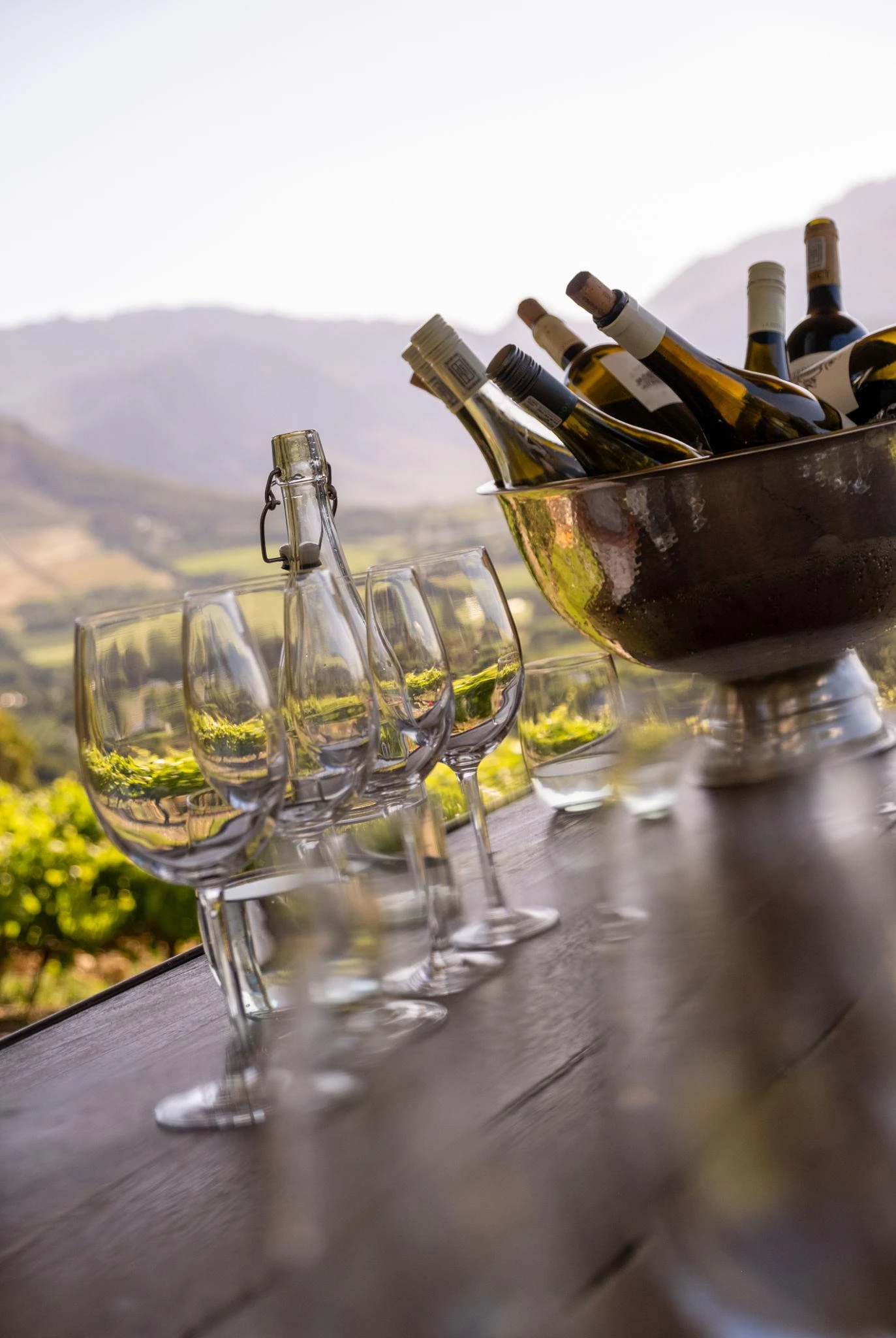 cape town wine tasing 