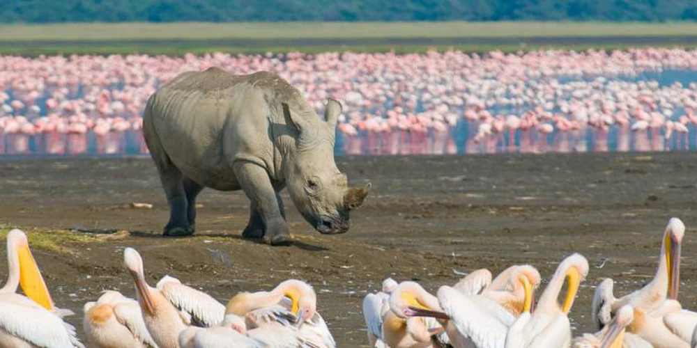 Lake Nakuru National Park