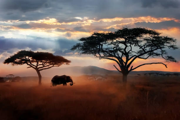 Tanzania 