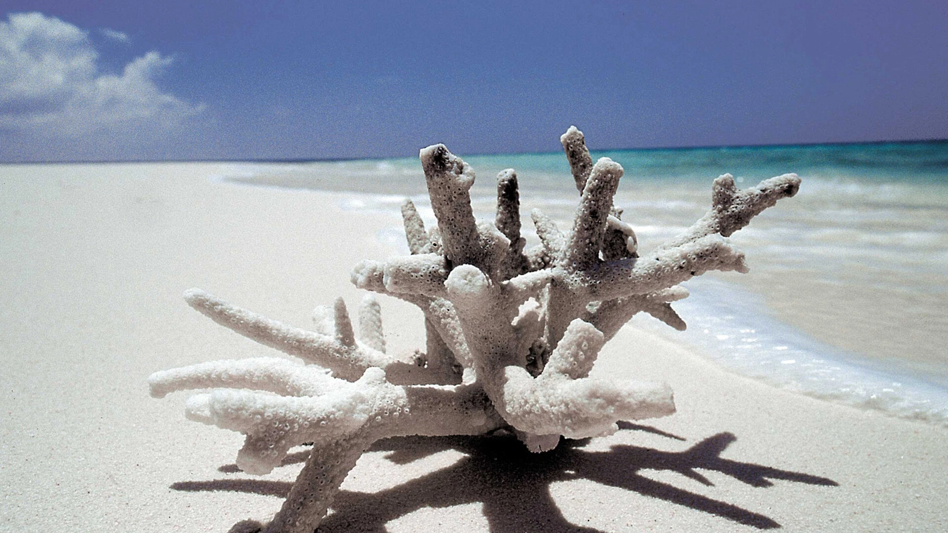 Mafia Island