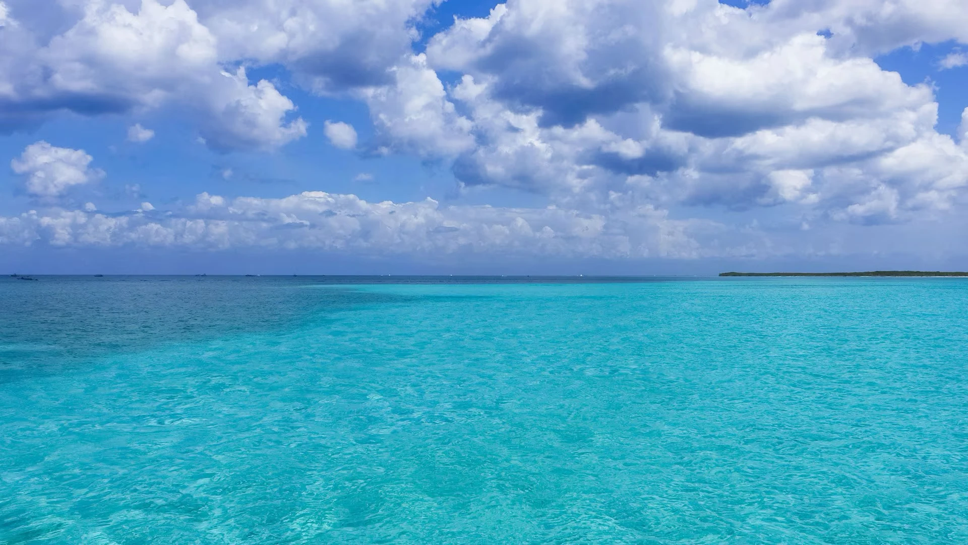 Western Caribbean