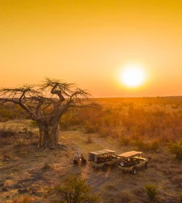 Ghoha Hills Savuti Lodge