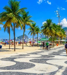 Essential Brazil