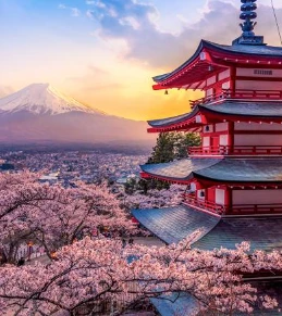 Trafalgar - Splendours of Japan with Hiroshima