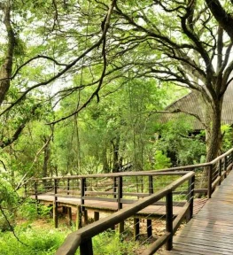Malkoha Lake St. Lucia