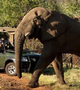 Kwa Maritane Bush Lodge