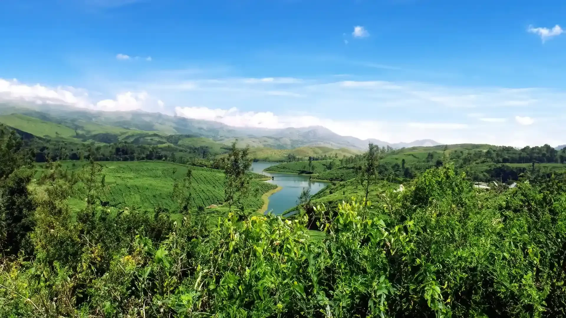 Munnar